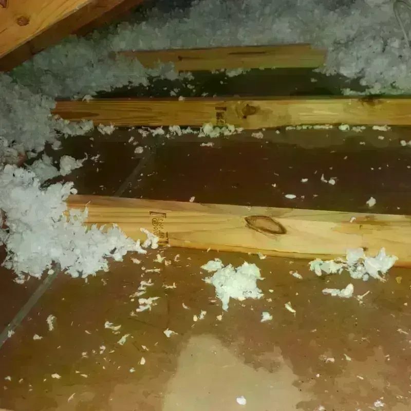 Attic Water Damage in Holly Springs, MS