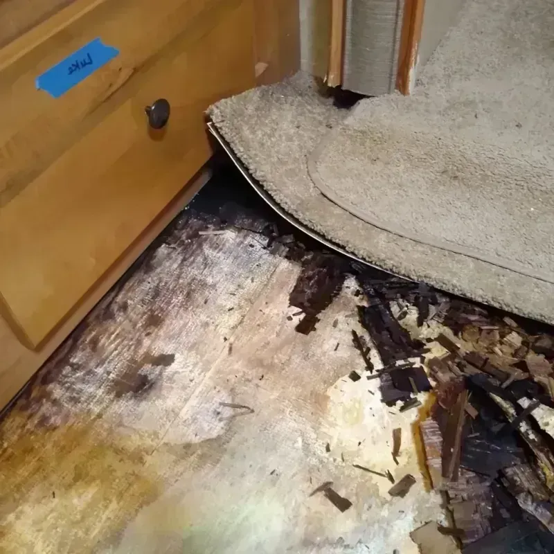 Wood Floor Water Damage in Holly Springs, MS